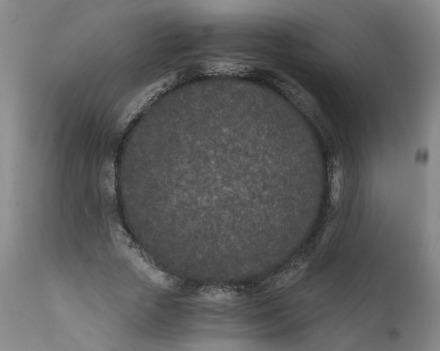 X0000110690729200906261343