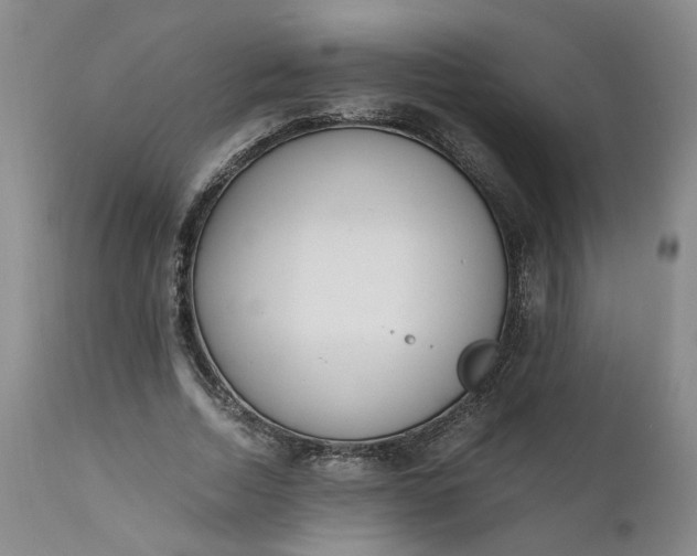 X0000110690730200906261343