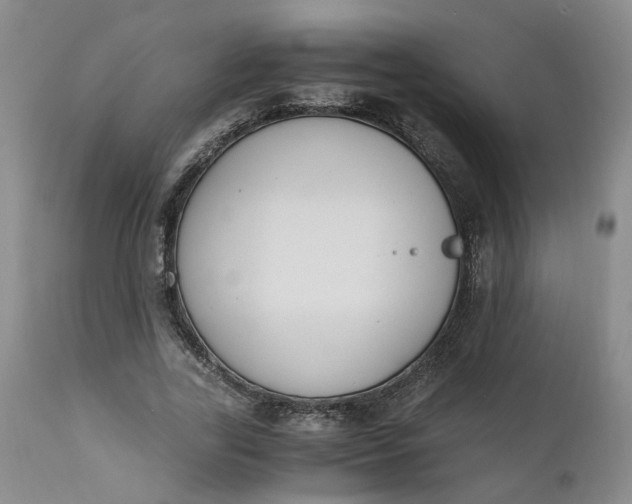 X0000110690731200906261343