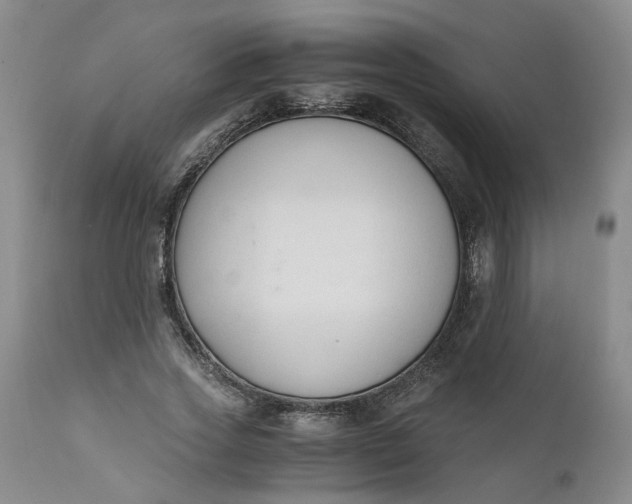 X0000110690733200906261343