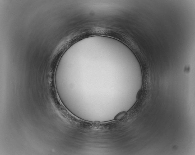 X0000110690736200906261343