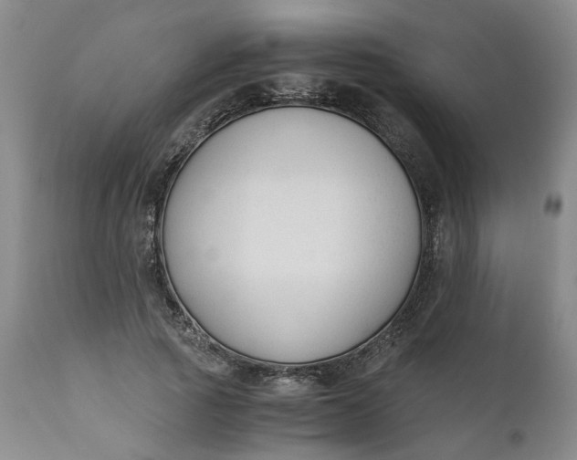 X0000110690737200906261343