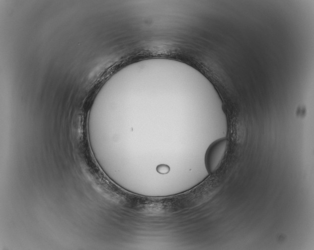 X0000110690740200906261343