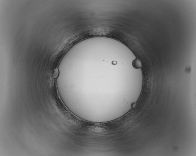 X0000110690743200906261343