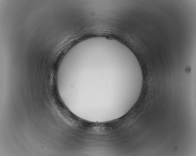 X0000110690744200906261343