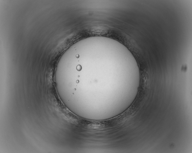 X0000110690745200906261343