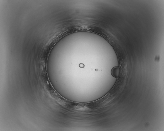 X0000110690747200906261343