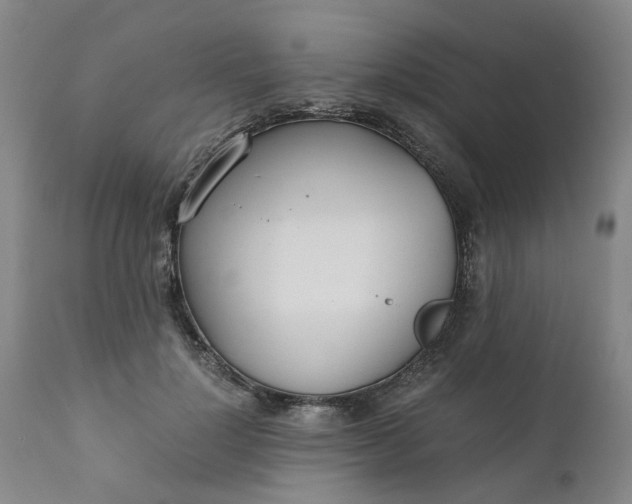 X0000110690748200906261343