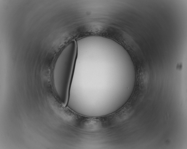 X0000110690750200906261343