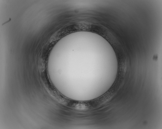 X0000110690751200906261343