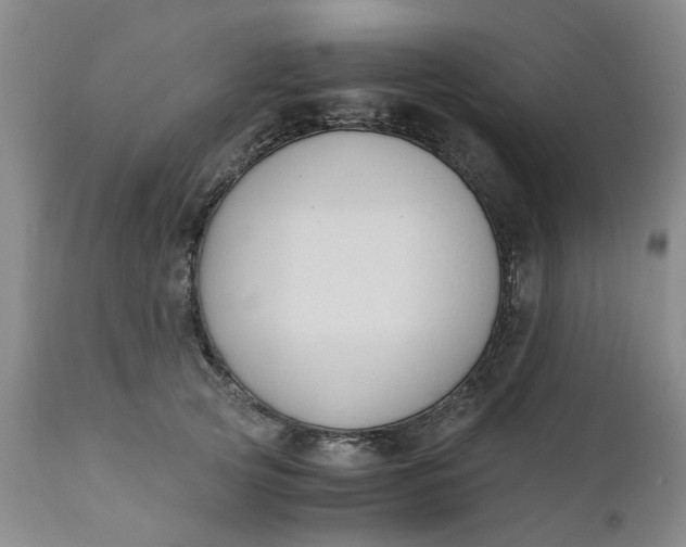 X0000110690753200906261343