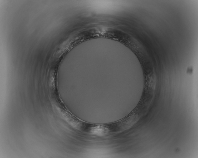 X0000110690754200906261343