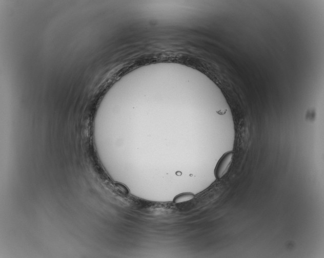 X0000110690756200906261343