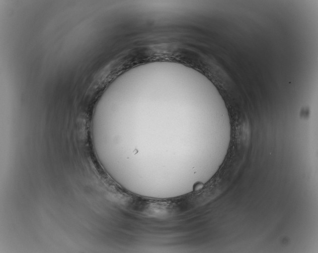 X0000110690757200906261343