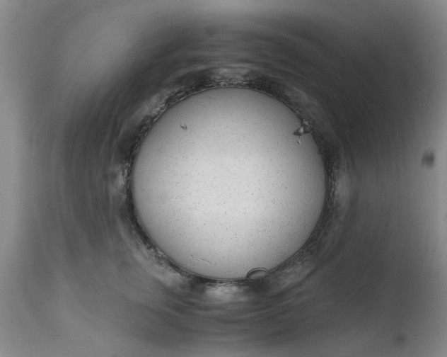 X0000110690759200906261343