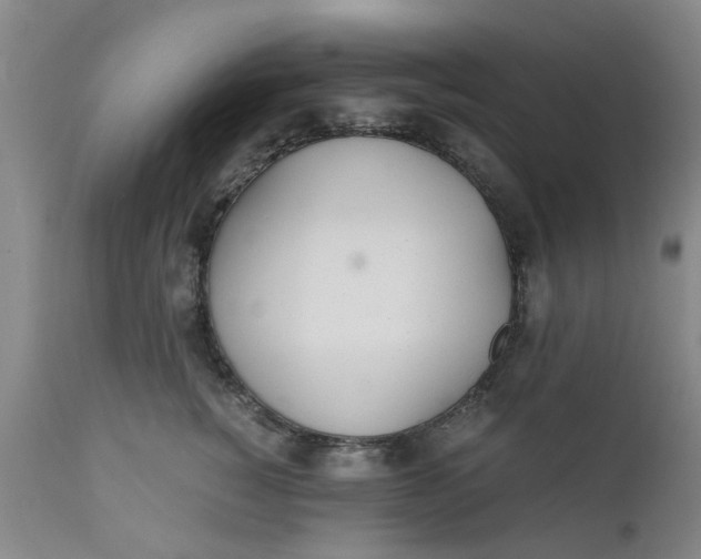 X0000110690760200906261343