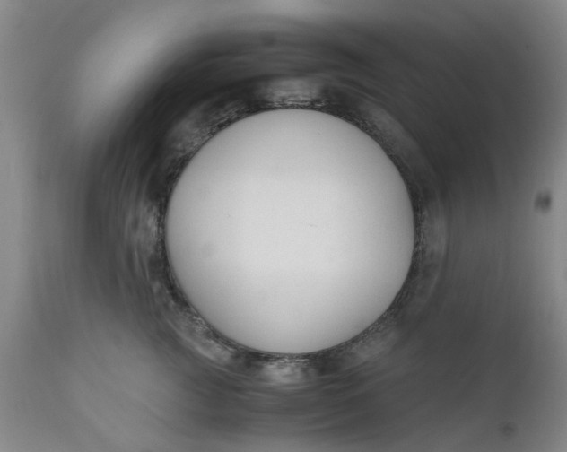 X0000110690761200906261343