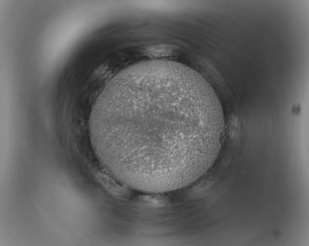 X0000110690763200906261344