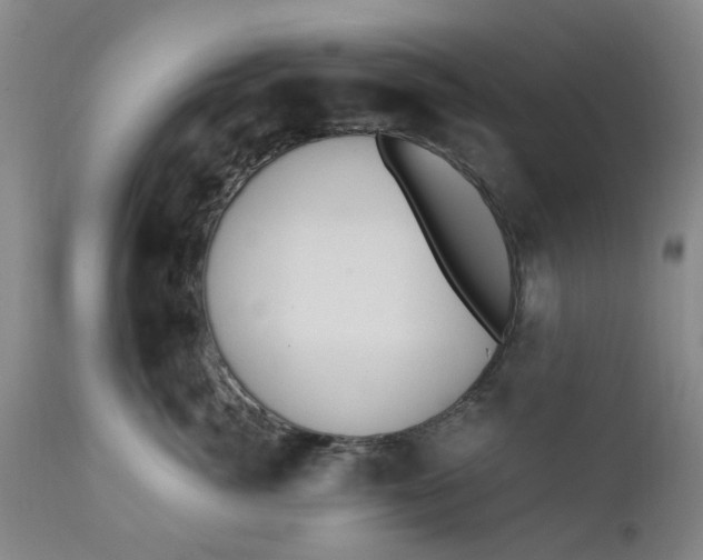 X0000110690764200906261344