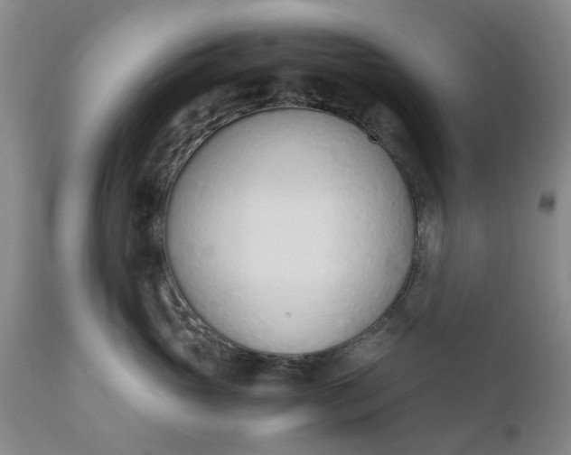 X0000110690765200906261344