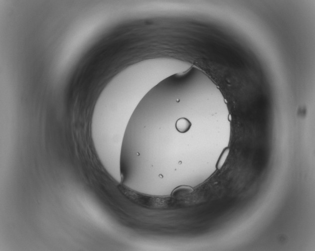 X0000110690766200906261344