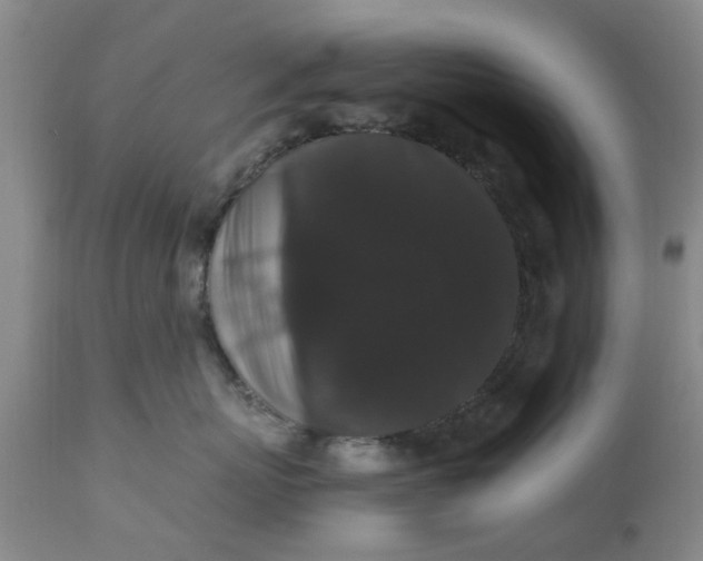 X0000110690767200906261344