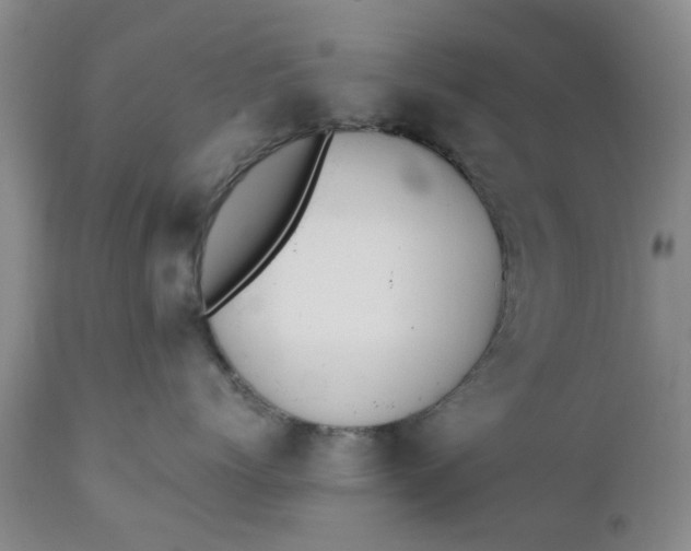 X0000110690768200906261344