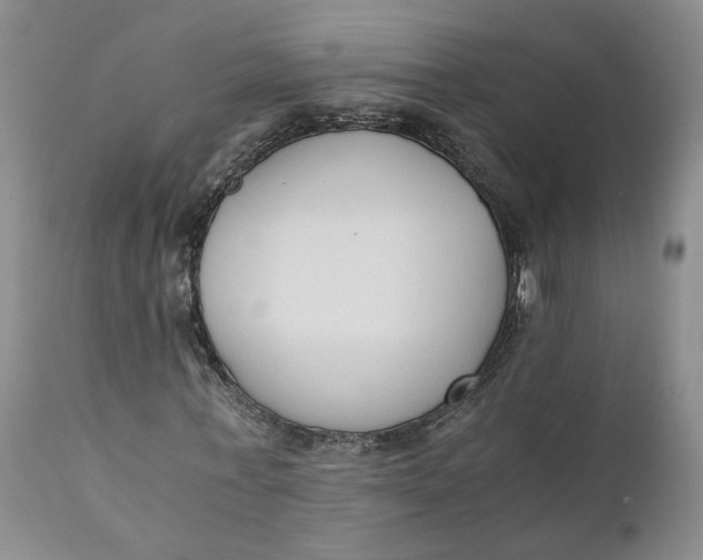 X0000110690771200906261343