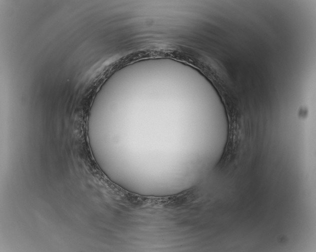 X0000110690773200906261343