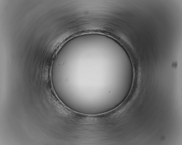 X0000110690777200906261343