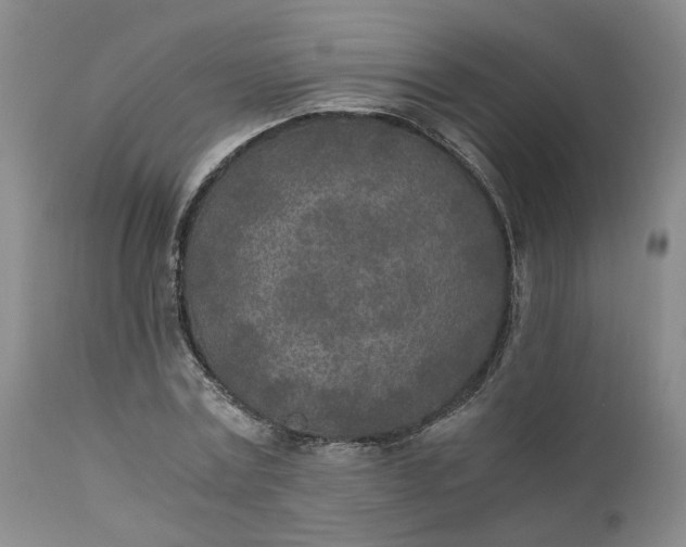 X0000110690779200906261343