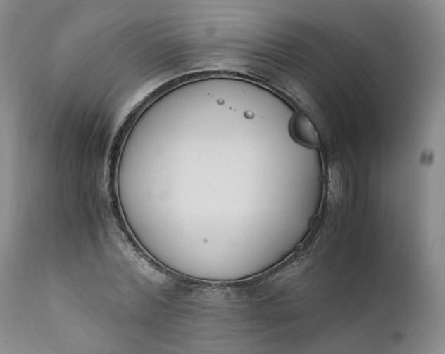 X0000110690780200906261343