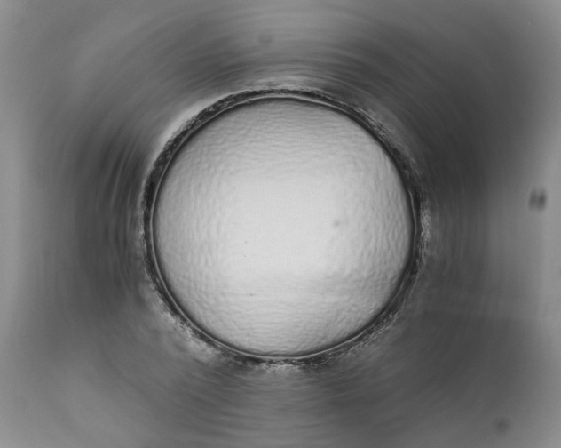 X0000110690784200906261343