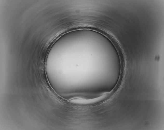 X0000110690785200906261343