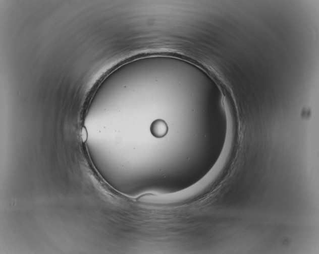 X0000110690789200906261342