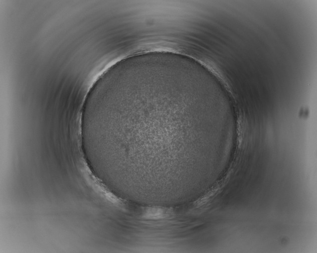 X0000110690790200906261342