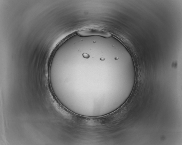 X0000110690792200906261342