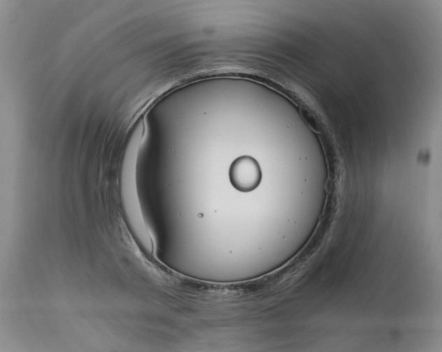 X0000110690793200906261342