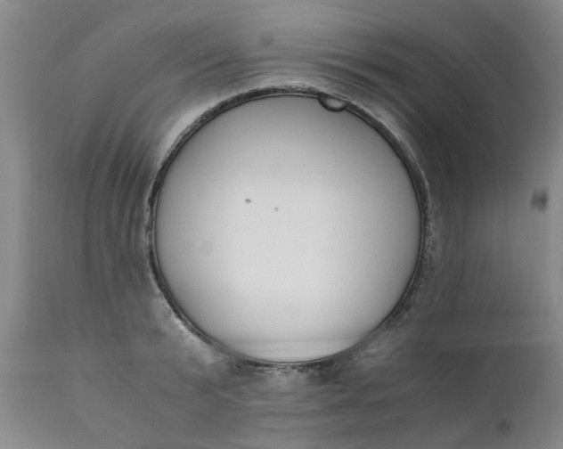 X0000110690799200906261342