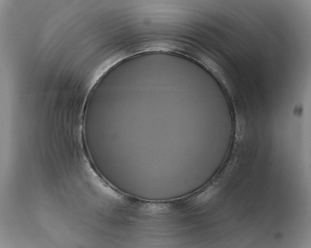 X0000110690802200906261342