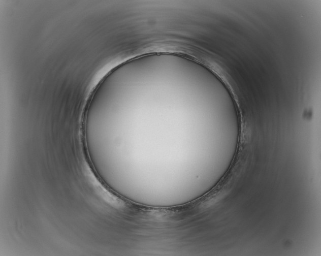 X0000110690803200906261342