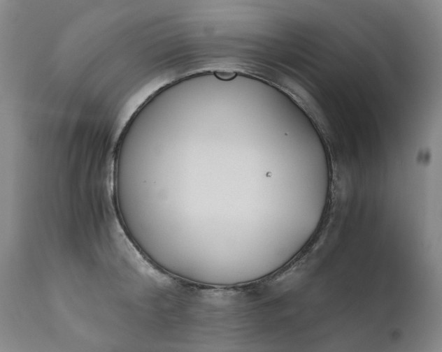 X0000110690804200906261342