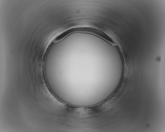 X0000110690805200906261342