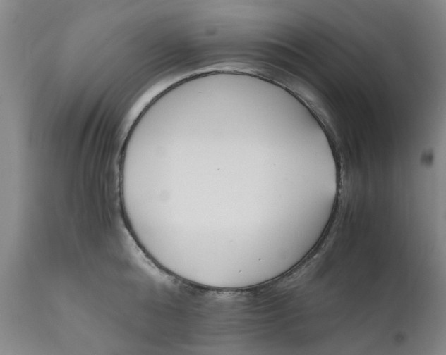 X0000110690808200906261342