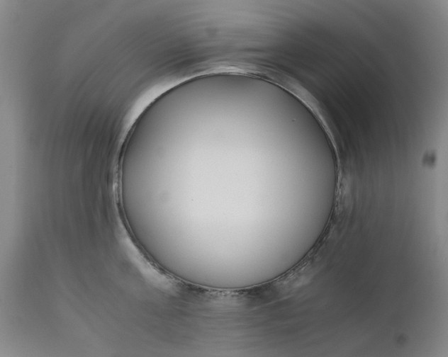 X0000110690811200906261342