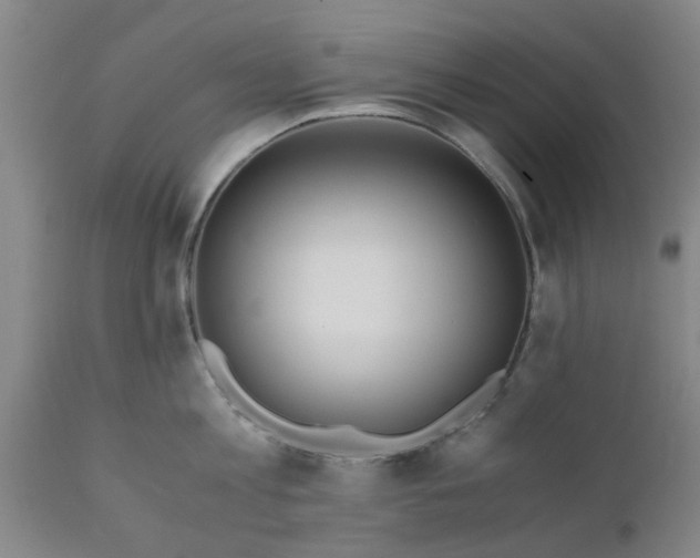 X0000110690813200906261342