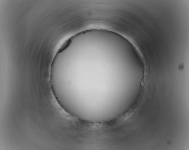 X0000110690815200906261342