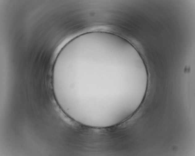 X0000110690816200906261342