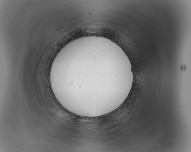 X0000110690817200906261341