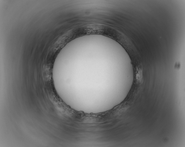 X0000110690819200906261341